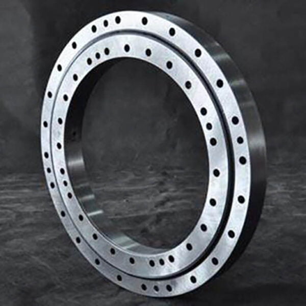 slewing bearing (2)